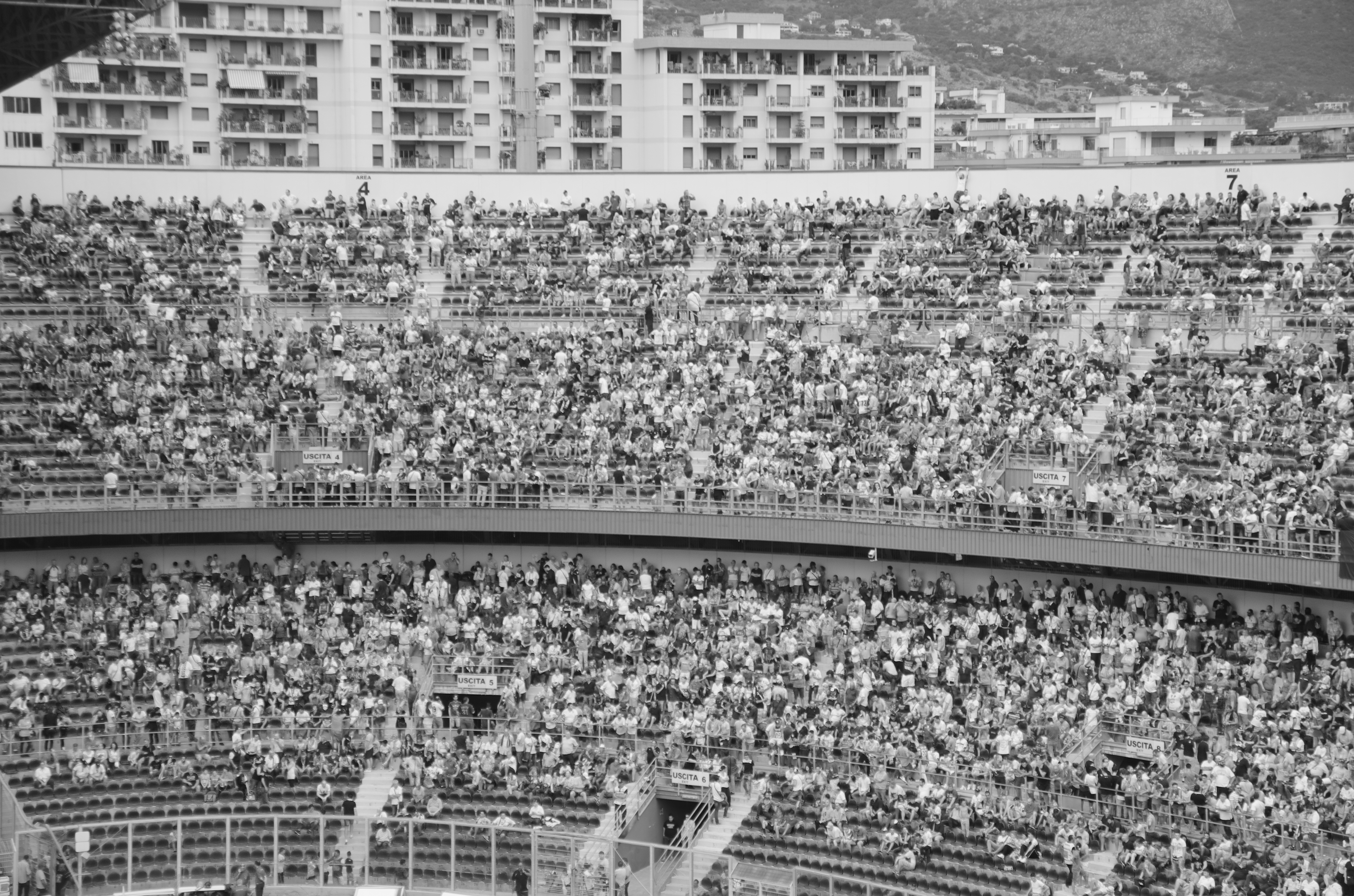 Platea - Imagen 5